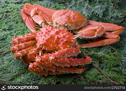 Japanese king crab & snow crab