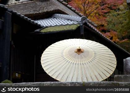 Japanese Oilpaper umbrella