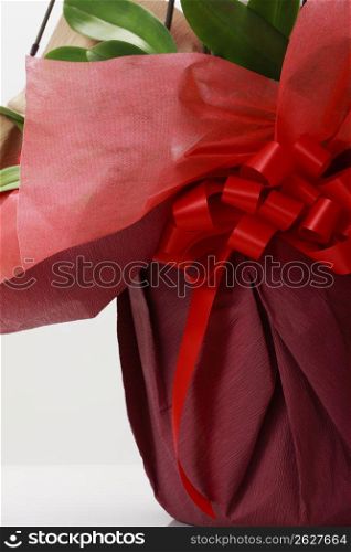 Japanese paper and ribbon