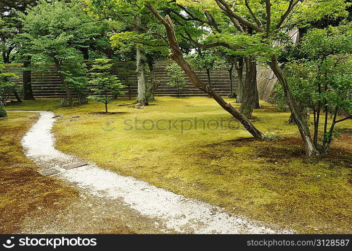 Japanese park near Nijo-Jo castle in Kyoto, Japan