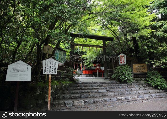 Japanese Temple with Japanese red Gate and green maple leaves in Kyoto Japan