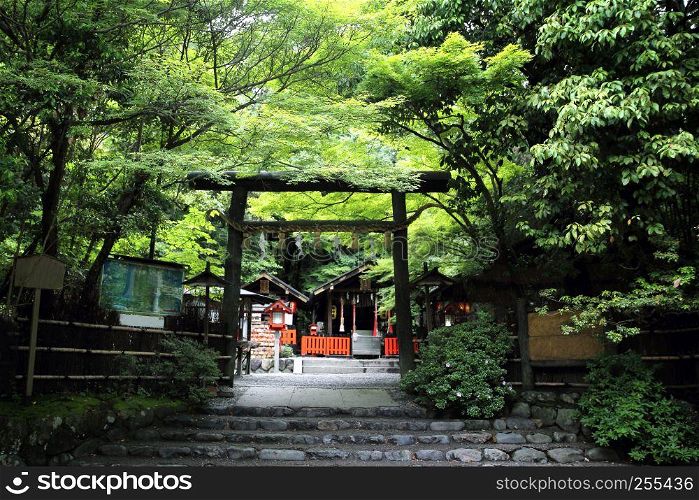 Japanese Temple with Japanese red Gate and green maple leaves in Kyoto Japan