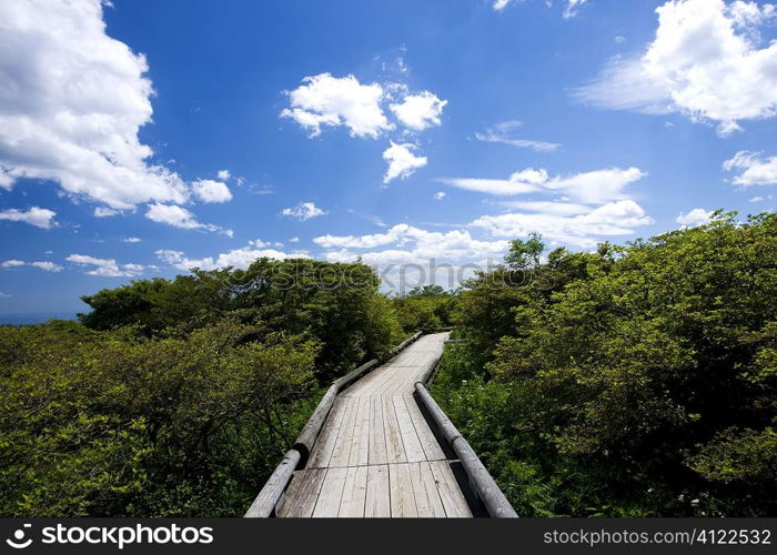 Japanese walking path