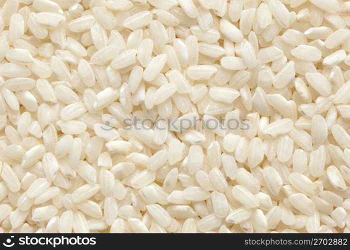 Japanese white rice