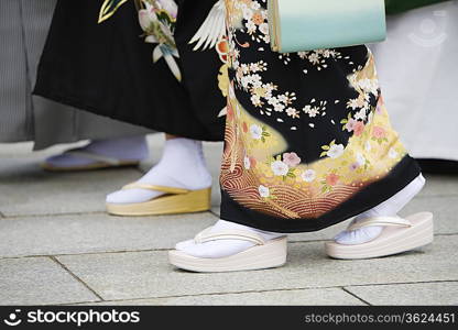 Japanese Women in Traditional Dress at Meiji Shrine