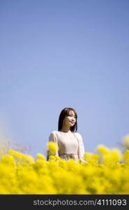 Japanese young woman in the flower garden