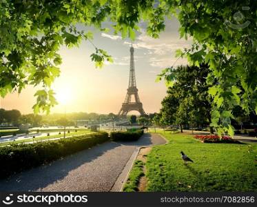 Jardins du Trocadero near Eiffel Tower in Paris, France
