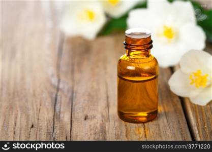 Jasmin essential oil with jasmine flowers on wooden table background. Beauty treatment. Copy space