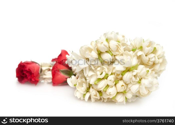 Jasmine festoon with red rose on white background