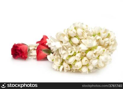 Jasmine festoon with red rose on white background