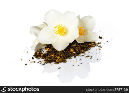 Jasmine flower with dry jasmine tea on white background