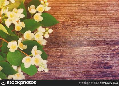 Jasmine fresh flowers and leaves border on wooden table, retro toned. Jasmine flowers on wooden table