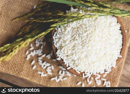 Jasmine white rice in wooden bowl and harvested yellow rip rice paddy on sack, harvest rice and food grains cooking concept