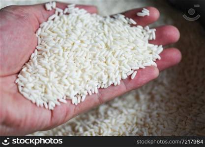 Jasmine white rice on hand in sack, harvest rice and food grains cooking concept
