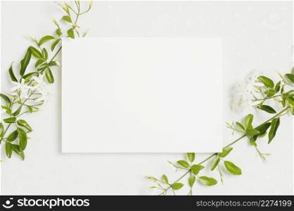 jasminum auriculatum flower twig with wedding card on white backgroun