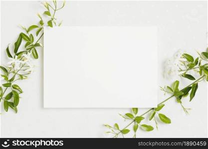jasminum auriculatum flower twig with wedding card on white background