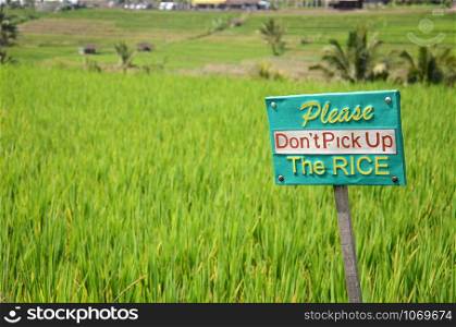Jatiluwih paddy field rice terraces in Bali, Indonesia
