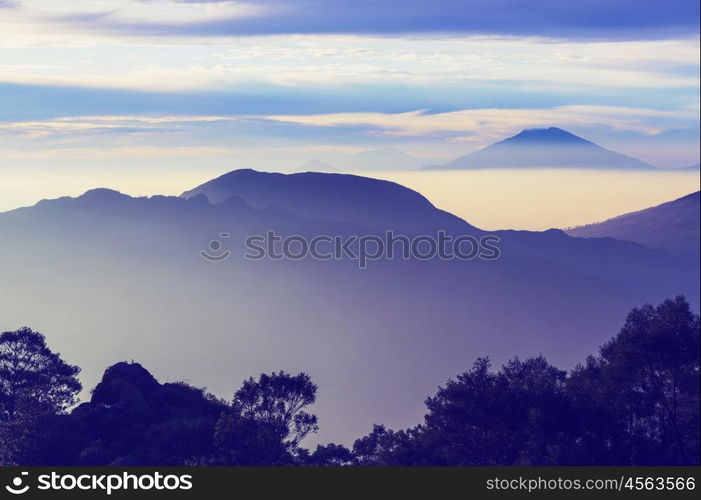 Java landscapes