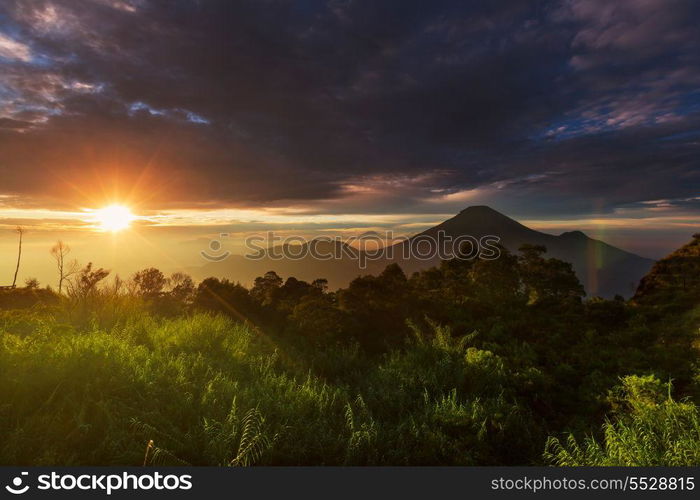 Java  landscapes