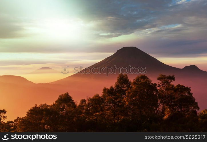 Java landscapes
