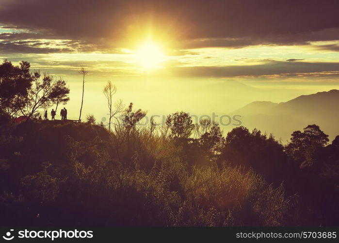 Java landscapes
