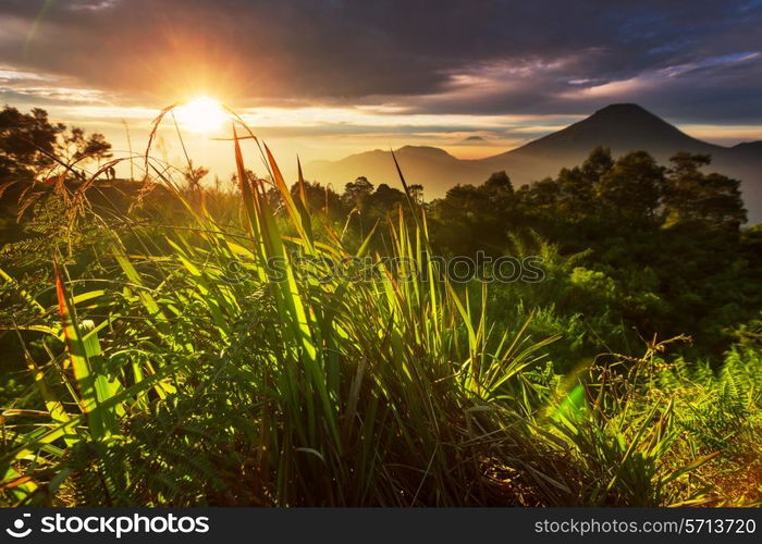Java landscapes