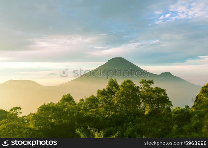 Java landscapes