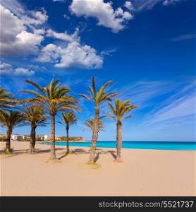 Javea playa del Arenal beach in Mediterranean Alicante at Xabia Spain palm trees