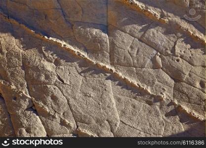 Javea Xabia Cala Blanca rock texture in Alicante Spain