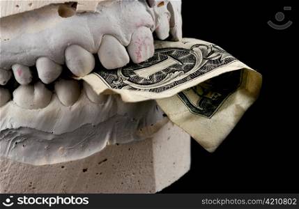 Jaws hold banknote