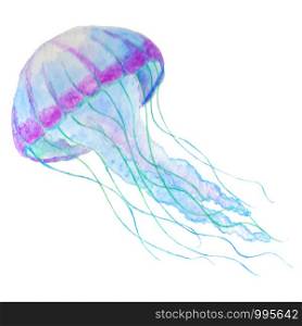 Jellyfish isolated n white background. Watercolor iilustration.