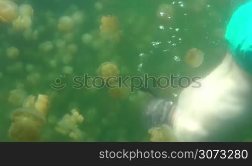 Jellyfish Lake, Palau Island, Micronesia, Pacific Ocean. Leisure, recreation, holiday, vacations, water sports. Man swimming underwater, free diving, snorkeling in tropical paradise, travel to atoll