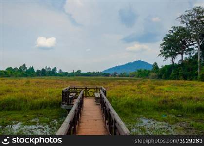Jetty into the green with mountain in background. Jetty in the green with mountain in background at Angkor Wat