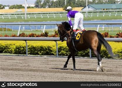 Jockey riding a horse in a horse race