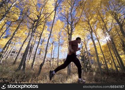 Jogging in an Aspen Grove