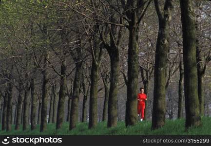 Jogging Through Rows of Trees