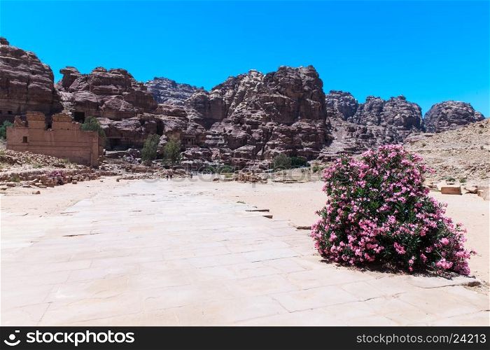 Jordanian desert at Petra
