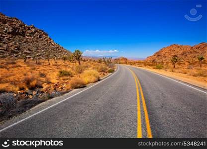Joshua Tree boulevard Road in Yucca Valley desert California USA