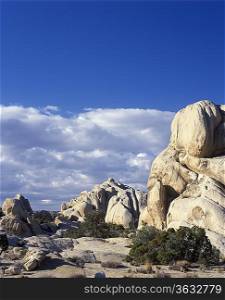 Joshua Tree National Park California. Monzogranite rock formation