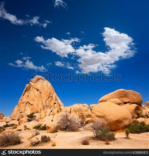 Joshua Tree National Park Intersection rock in Mohave desert California USA