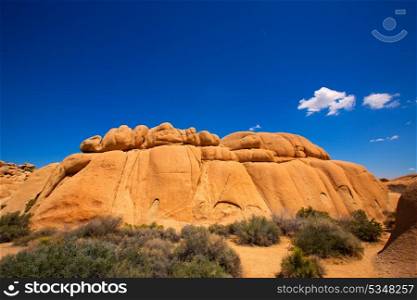 Joshua Tree National Park Jumbo Rocks in Yucca valley Mohave Desert California USA
