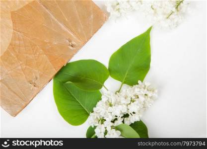 jotter on the surface of a white lilac flowers. background