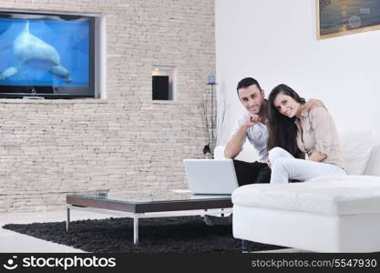 joyful couple relax and work on laptop computer at modern living room indoor home