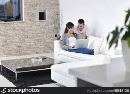 joyful couple relax and work on laptop computer at modern living room indoor home