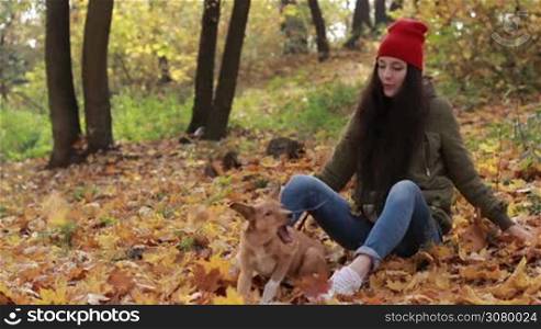Joyful trendy hipster woman in stylish outfit and cute dog playing with fallen yellow leaves in autumn park. Cheerful girl and cute puppy having fun with golden fallen leaves in public park while enjoying leisure in idian summer. Slow motion.