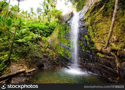 Juan Diego Falls at el Yunque rainforest Puerto Rico at day. Juan Diego Falls at el Yunque rainforest Puerto Rico