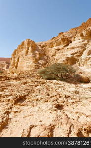 Judean Desert on the West Bank of the Jordan River