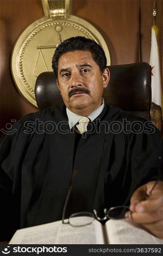 Judge in court, portrait