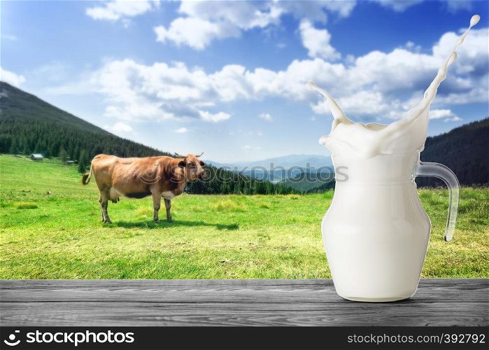 Jug of milk with a splash on the background of a brown cow in the mountains. A jug of milk stands on a wooden table against the background of a brown cow on a mountain pasture with green grass. Jug of milk with splash on background of brown cow in mountains