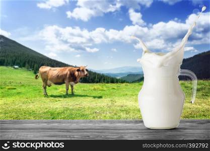 Jug of milk with a splash on the background of a brown cow in the mountains. A jug of milk stands on a wooden table against the background of a brown cow on a mountain pasture with green grass. Jug of milk with splash on background of brown cow in mountains